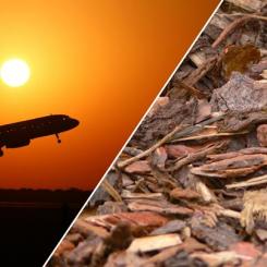 EU:s regelverk riskerar att leda till resursslöseri när hållbart flygbränsle ska produceras med biomassa som råvara, visar forskare på Chalmers. Bild: CC BY Gustavo Ramirez/CC0