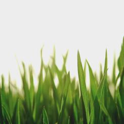 Foto: Chang Qing/Unsplash