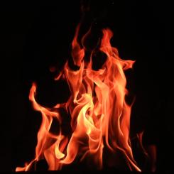 Foto: Cullan Smith/Unsplash