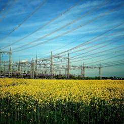 Eftersom de nordiska elnäten är starkt sammankopplade fick händelsen konsekvenser även utanför Finland. Prisstörningar noterades i flera länder i norra Europa, vilket ytterligare understryker hur känsligt elsystemet är för enskilda aktörers agerande. Foto: Creative Commons Lic. Symbolbild, Kredit: Ge-Tho