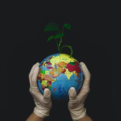 Foto:  Fateme Alaei / Unsplash