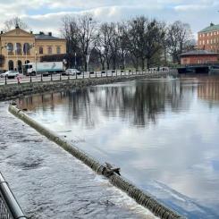 Faunapassagerna i Svartån i Västerås har utsetts till vinnare av Trafikverkets arkitekturpris 2025. Projektet lyfts fram för hur det både hjälper fisken tillbaka till ån och skapar en mer levande och inbjudande miljö mitt i staden. Pressbild: Mälarenergi