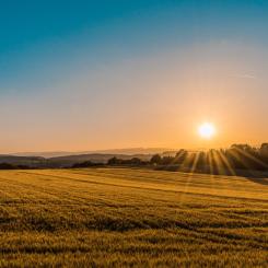 Foto: Federico Respini/Unsplash