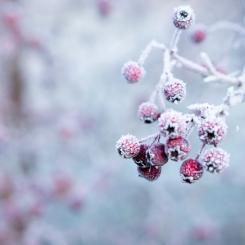 Foto: Galina N/Unsplash
