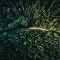 Foto: Geran Deklerk/Unsplash