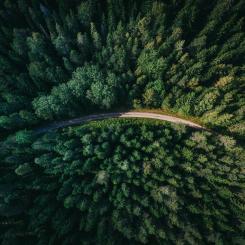 Foto: Geranimo/Unsplash