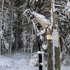 Bild från Holmön som visar hur stormen har knäckt en av ledningsstolparna. Foto: Umeå Energi