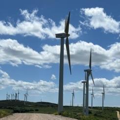 Foto John Hardwick / Conventus