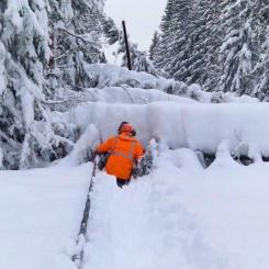 Bild på man som snöröjer elledning. Bild: Svenska kraftnät