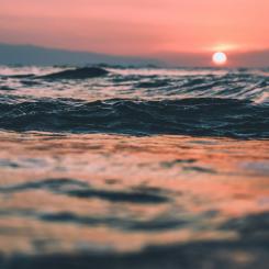 Foto: Jp Fischman/Unsplash