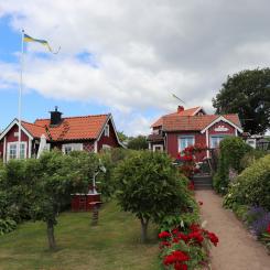 Det kan bli dyrare för villaägare om man inte känner till de nya eltarifferna. Enligt en Sifo-undersökning från Nordic Green Energy vet endast 13 procent av svenska villaägare vad effekttariffer innebär. Foto: Julia Taubitz / Unsplash