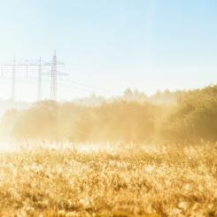 Färre och större områden ger bättre förutsättningar för investeringar, för en bättre fungerande elmarknad med tillräckliga reserver samt en långsiktig planering, anser E.ON. Foto: Christian Andersson, Apelöga