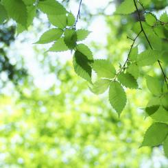 Foto: Kumiko SHIMIZU / Unsplash