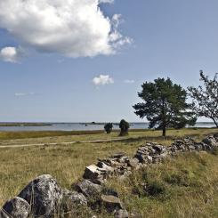 Foto: Berti Redhill.