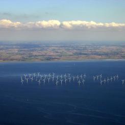 Lillgrunds vindkraftpark i södra Sverige. Foto: Wikipedia Commons Lic. kredit: Tomasz Sienicki