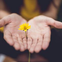 Foto: Lina Trochez / Unsplash