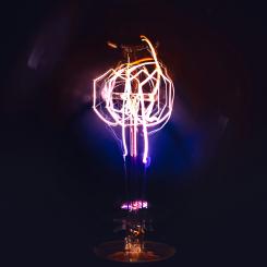 Foto: Marek Piwnicki / Unsplash