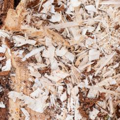 Sågspån. Foto:  Marek Studzinski / Unsplash