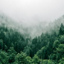 Foto: Marita Kavelashvili/Unsplash