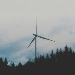 Foto:  Marten Bjork / Unsplash