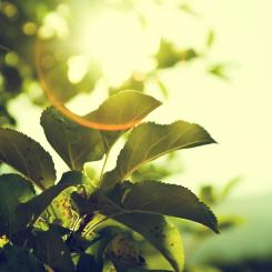 Foto: Micah Hallahan / Unsplash