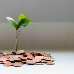 Foto: Micheile Henderson/Unsplash