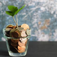 Foto: Micheile Henderson/Unsplash