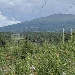 I ett inledningsskede ska NCC tillsammans med Svenska kraftnät färdigställa projekteringen och planeringen för kommande utbyggnad av en 400 kilovolts elledning. Foto: NCC