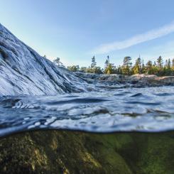 Foto: Niklas Jonasson/Unsplash