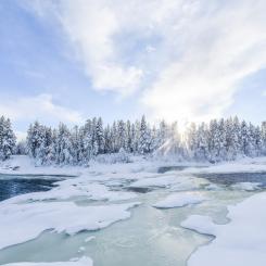 Foto: Niklas Jonasson/Unsplash