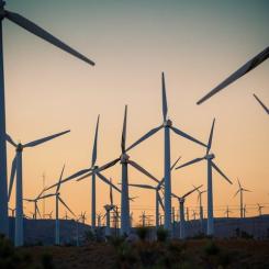 En tät "skog" av vindkraftsverk i USA. Kanske något för finsk-ryska gränsen? Symbolbild. Foto: North American Windpower