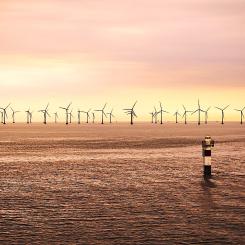 Så kan det se ut om några år vid Skagerrak. Foto: Symbolbild, Creative Commons Lic, kredit: PTNorbert