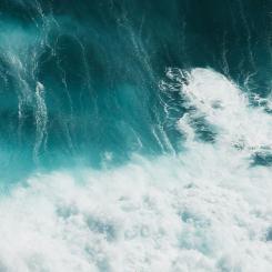 Foto: Polina Kuzovkova / Unsplash
