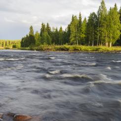 Svevia förstärker dammkonstruktion vid Tåsjö i Jämtland. Foto: Mikael Svensson/Johnér