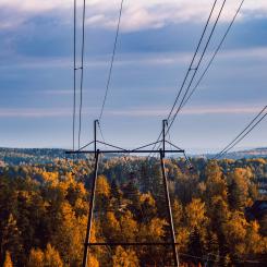 Kraftledningar i Finland Foto: J-V Hintikka/Unsplash