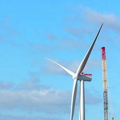Siemens Gamesas problem är inte unika. Hela den globala vindkraftsindustrin pressas av tekniska fel, höga garantiåtaganden och växande produktionskostnader. Foto: Siemens Energy