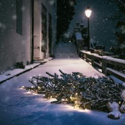 Foto: Simon Berger / Unsplash