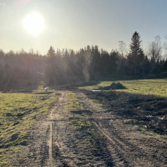 Vid platsen för den planerade gruvan i Västra Kärr. Foto: Jönköping University