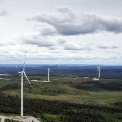 Vindkraftparken vid Blaikfjället i Västerbotten är en av Skellefteå Krafts största vindkraftsinvesteringar. Foto: Skellefteå Kraft