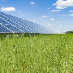 Solpark. Pressbild: Downing Renewable Developments