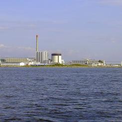 Ringhals kärnkraftverk från havet. Foto: Green Yoshi/Wikimedia Commons/