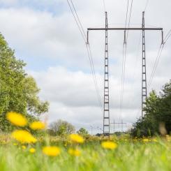 Enligt Svenska kraftnäts Långsiktiga marknadsanalys 2026 krävs betydande investeringar i både elproduktion, elnät och flexibilitet för att möta behoven fram till 2050. Foto: Tomas Ärlemo