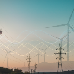 Foto: Sustainable Innovation