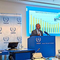 IAEA:s representant Henri Paillere redogör för de viktigaste punkterna i den nya rapporten. Foto: WNN.