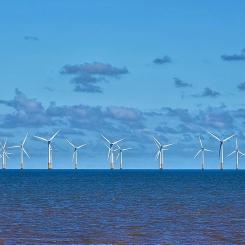 Offshorevindpark till havs. Symbolbild:  Foto: Total Energies
