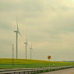Vindkraft. Pressbild: Energiföretagen
