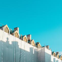 Hustak. Foto: Vlado Paunovic / Unsplash
