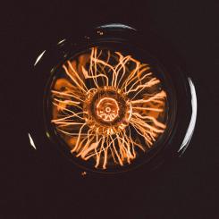Foto:  Wesley Tingey  / Unsplash