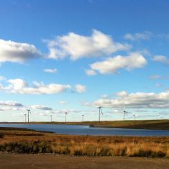 Windpark i Whitelee, Skottland. Foto: Wikipedia Commons Lic. Kredit: Bjmullan